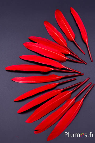 Gans - 10-15 cm - karmijn